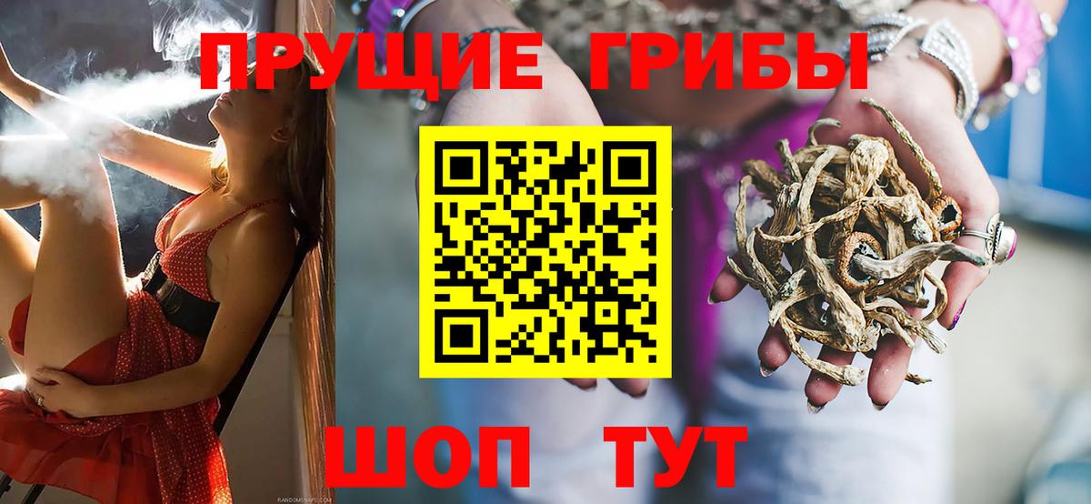 Галлюциногенные грибы прущие грибы  Вход с VPN  Грязи  Галлюциногенные грибы ЛСД 